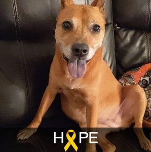 Meet your Posher, Christina